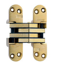 Invisible Hinge 218