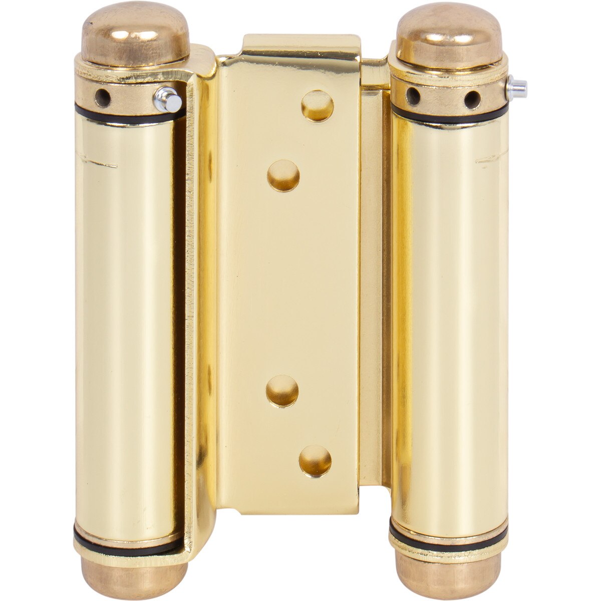 Polished Brass Double Acting Pair of Hinges